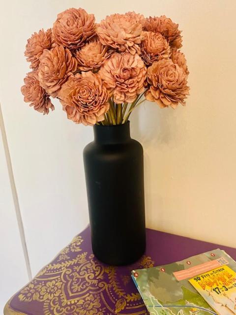 マントンLes Fleurs Astoriaアパートメント エクステリア 写真